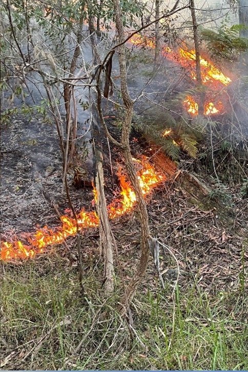 Fire Management - Prescribed Burning & Cultural Burns